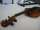 Alte Geige Saiteninstrumente Bild 10