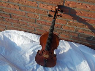 Alte Geige/ Violine Bild