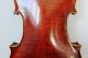 Feine Alte Violine Old Violin Nur 3tage Saiteninstrumente Bild 5