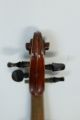 Feine Alte Violine Old Violin Nur 3tage Saiteninstrumente Bild 6