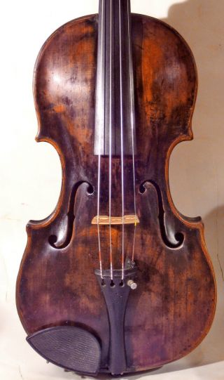 Historische Geige Johann Franz Placht Schönbach 178.  - Historic Violin J.  F.  Placht Bild