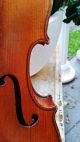 Feine Alte Violine Old Violin Nur 3tage Saiteninstrumente Bild 10