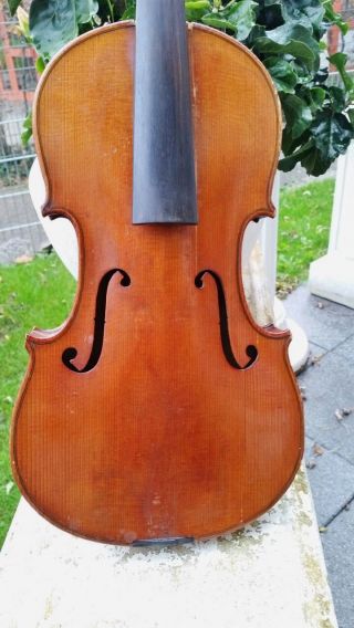 Feine Alte Violine Old Violin Nur 3tage Bild