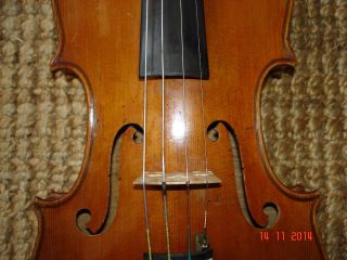 Schöne Alte 4/4geige Violine Ohne Zettel Vermutl.  Frankreich,  Kein Origin.  - Hals Bild