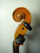 Alte Antike 1/2 Geige Violine Old Violin Violino Dölling Dolling Saiteninstrumente Bild 6