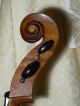 Ca.  200 Jahre Altes Cello Very Old Cello Violoncello Stark Geflammt Saiteninstrumente Bild 2