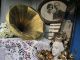Frankreich Antiker Grammophon Trichter French Shabby Chic Messing Trichter Jdl Mechanische Musik Bild 11