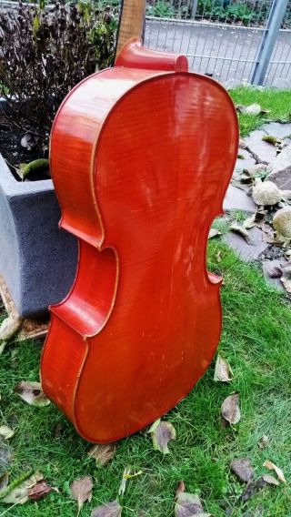 Feines Altes 3/4 Cello Old Cello Nur 5tage Bild