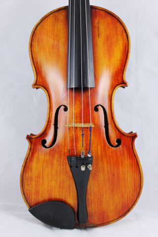 Feine Alte Meisterliche - Violine M.  Br.  Stemp Old Violin Nur 5 Tage Violon,  Violino Bild