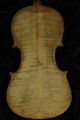 Feiner Alter Geigenboden Old Violin Nur 5 Tage Violon,  Violino Saiteninstrumente Bild 3