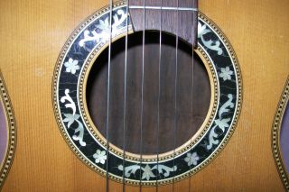 Alte,  Antike Gitarre (palisanderkorpus) Bild
