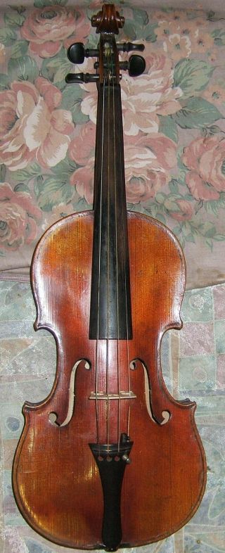 Schöne,  Alte Geige Bild