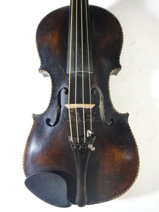 Alte Geige,  Violine,  Old Violin,  Violin,  Violino,  Löwenkopf,  Lion Head,  Kloz? Bild