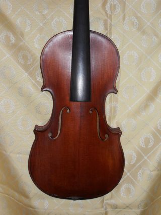 Feine Alte Geige Old Violin Violino Antiko Bild