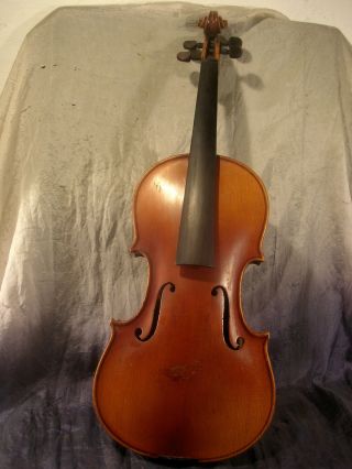 Schöne,  Alte Geige,  Alter ? Bild