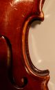 Feine Alte 4/4 Meister Violine Geige Old Master Violin Labe: Carletti Orfeo Saiteninstrumente Bild 1