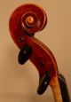 Feine Alte 4/4 Meister Violine Geige Old Master Violin Labe: Carletti Orfeo Saiteninstrumente Bild 3