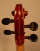 Feine Alte 4/4 Meister Violine Geige Old Master Violin Labe: Carletti Orfeo Saiteninstrumente Bild 6