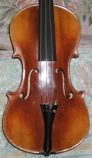 Schöne,  Alte Geige Sacconi Bild
