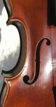 Schöne,  Alte Geige Sacconi Saiteninstrumente Bild 2