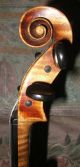 Schöne,  Alte Geige Sacconi Saiteninstrumente Bild 8