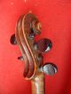 Biete Antike Geige / Violine - Stainer. Saiteninstrumente Bild 9
