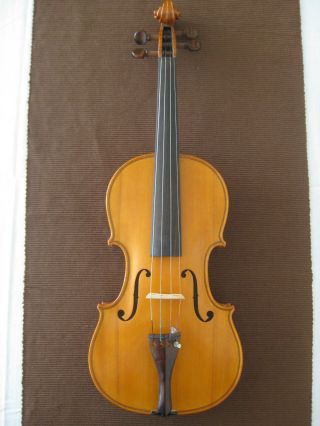 Schöne Geige Bild