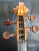 Schöne Geige Saiteninstrumente Bild 4