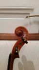 Schone 4/4 Geige Violin Mit Zettel Ettore Soffritti (3 Tage) Viola Violino Cello Saiteninstrumente Bild 2