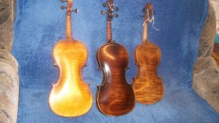 Alte Geigen (konvolud) Bild
