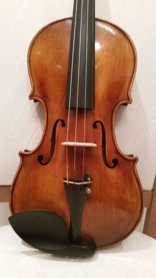 Sehr Schone 4/4 Geige Violin Piccagliani (3 Tage) Alte Cello Bratsche Violin Viola Bild