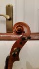 Sehr Schone 4/4 Geige Violin Piccagliani (3 Tage) Alte Cello Bratsche Violin Viola Saiteninstrumente Bild 2