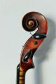 Feine Alte Meister - Violine Von Adolf Kessler Jun.  Old Violin Nur 3tage Saiteninstrumente Bild 7