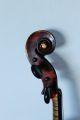 Feine Alte Meister - Violine Von Adolf Kessler Jun.  Old Violin Nur 3tage Saiteninstrumente Bild 8