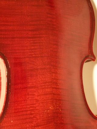 Alte Französische Geige 4/4 Violine Fine Old French Violin Label: Fourier 1929 Bild