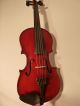 Alte Französische Geige 4/4 Violine Fine Old French Violin Label: Fourier 1929 Saiteninstrumente Bild 1