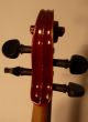 Alte Französische Geige 4/4 Violine Fine Old French Violin Label: Fourier 1929 Saiteninstrumente Bild 4