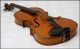 Louis Saptist Galier A Paris 1904 Alte Französische Violine Saiteninstrumente Bild 10