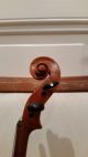 4/4 Alte Geige Mit Zettel Giovanni Dollenz (3 Tage) Saiteninstrumente Bild 2