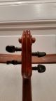 4/4 Alte Geige Mit Zettel Giovanni Dollenz (3 Tage) Saiteninstrumente Bild 6