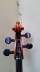 Schone 4/4 Alte Cello Mit Zettel Joannes Bapt.  Guadagnini (3 Tage) Saiteninstrumente Bild 1