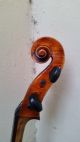 Schone 4/4 Alte Cello Mit Zettel Joannes Bapt.  Guadagnini (3 Tage) Saiteninstrumente Bild 2