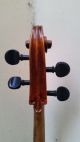 Schone 4/4 Alte Cello Mit Zettel Joannes Bapt.  Guadagnini (3 Tage) Saiteninstrumente Bild 4