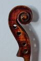 Feine Verm.  300 Jahre Alte Südtiroler Meister - Violine Old Violin Nur 3tage Saiteninstrumente Bild 11