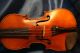 Alte Geige Violine Antonius Stradiuarius Cremonenfis 1736 Stradivarius Saiteninstrumente Bild 1