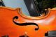 Eine Schöne Geige.  4/4.  A Lovely Violin. Saiteninstrumente Bild 4