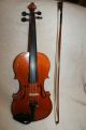 Violine Geige Suzuki 4/4 Antonius Stradivarius 1720 Copy Anno 1980 Japan Zettel Saiteninstrumente Bild 10