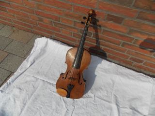 Bratsche/geige/ Violine Mit Adlerstempel Innen Bild