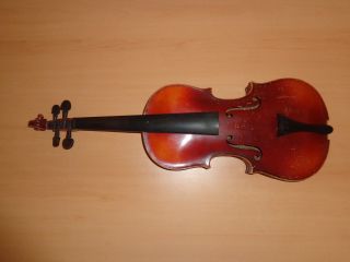 Schöne Alte Geige Stainer Violine Old Violin Violon Bild