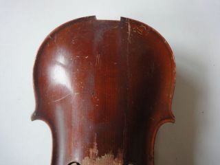 Nachlass Eines Geigenbauers Geigen Violinen KÖrper Ersatzteil F Prokop 1908 Bild